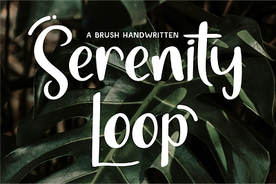 Serenity Loop - Brush Handwritten artistic font bold handwriting branding brush font creative projects creative typography dynamic design font free flowing style fresh typography handwritten font modern natural design organic design playful style typeface typography typography inspiration unique typography vibrant font