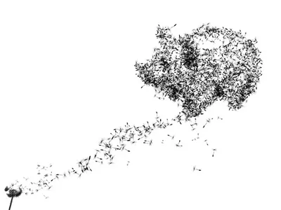 Dandepig blow dandelion illustration money pig