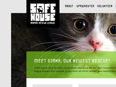Safe House Pets pets safe house wordpress