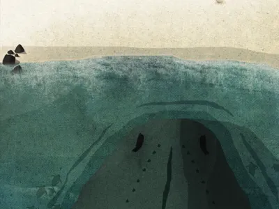 Giant turtle of the beach. album artwork beach design graphic design illustration rocks sea texture turtle