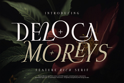 Deloca Moreys Typeface design font fonts letteing typeface