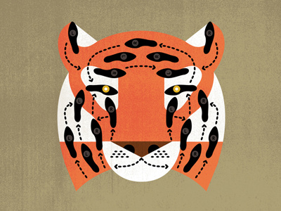 Tango with the Tigers animal cat dance feet steps tango tiger zoo