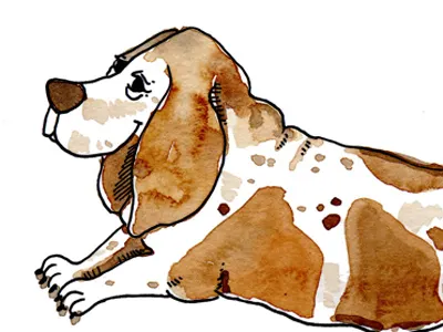 Basset Hound in Watercolor basset hound dog ink watercolor