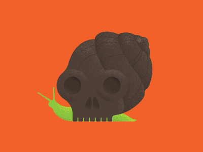 Skull a day #11 illustration shell skull snail texture