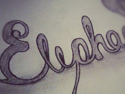 Animal Logo Typography animal drawing elephant logo sketch typography