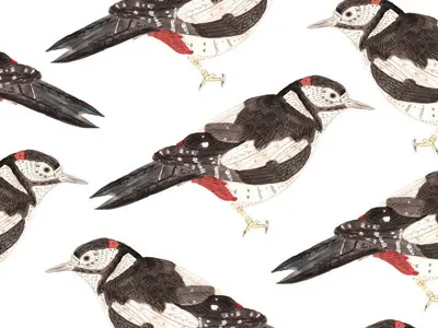 Woodpecker pattern drawing illustration