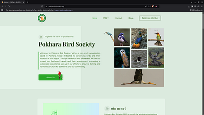 Bird Conservation, Nature Conservation Organization - Webpage bird birding conservation design nature non profit template uiux ux web design webpage website