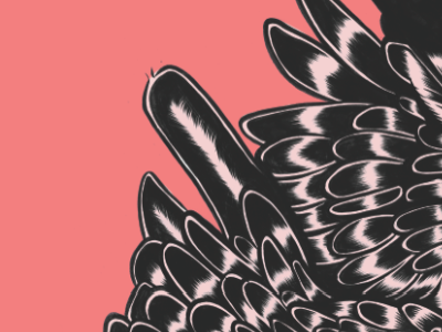 Scrapping editorial freelance illustration