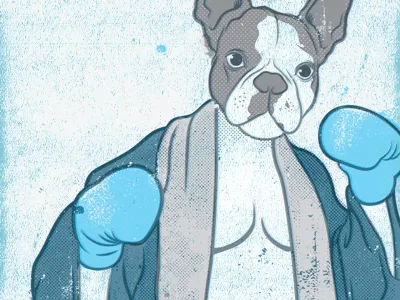 Frank boxer dog illustration portrait