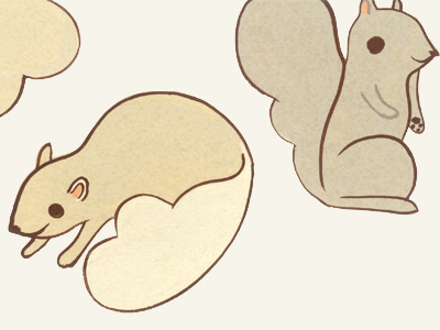 rejects animal hand painted illustration squirrel
