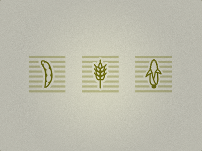 Crops corn fields icons soy wheat