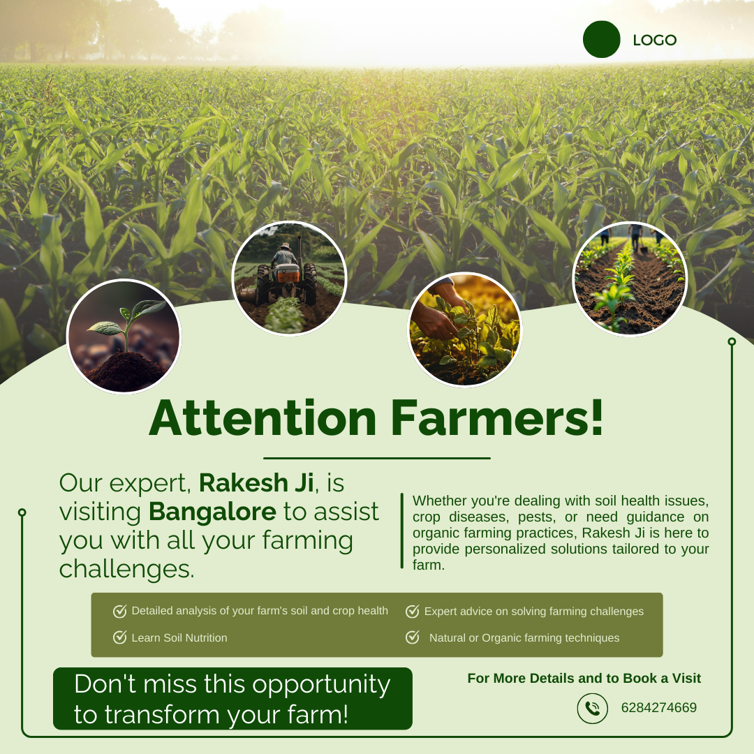 Social media design design freelance graphic design project social media design socialmedia