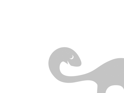 I am Dino brand communication agency dino dinosaur kid logo logo design logo designer pavel surovy symbol