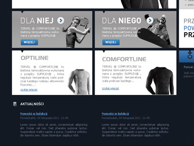Tervel web website www
