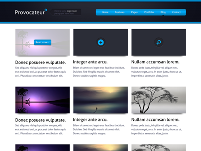 Provocateur Theme gallery portfolio theme wordpress wp