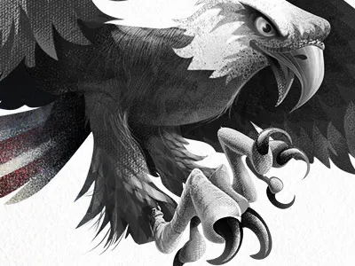Eagle america animal illustration press