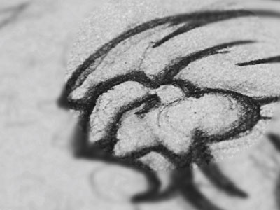 Rock animal close hair head lion logo rock s sketch steva