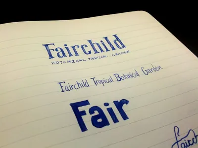 Logo Ideas hand drawn logo type typography