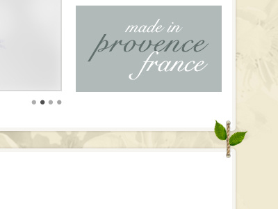 Website 100% Bio leaves nature organic texture webdesign