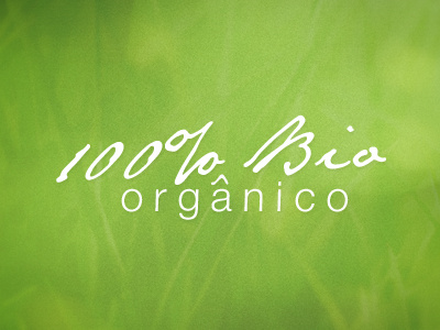 100% Bio Orgânico Logo brand green identidade visual identity leaves logotipo logotype nature organic