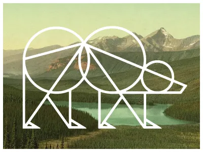 Bear bear geometric photochrome wireframe
