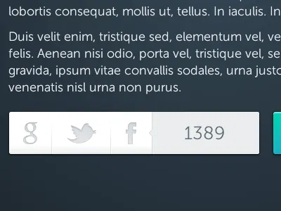 Social Share buttons counter facebook google lorem ipsum twitter
