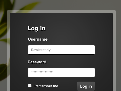 Log in form form log in modal sign in