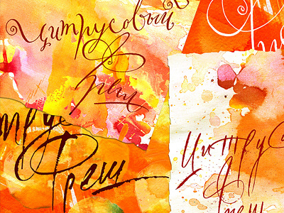 Citrus freshness. calligraphy handmade handwriting illustration lettering