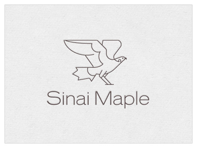 Sinai Maple Logo Concept 1 bird concept falcon leaf logo maple sinai
