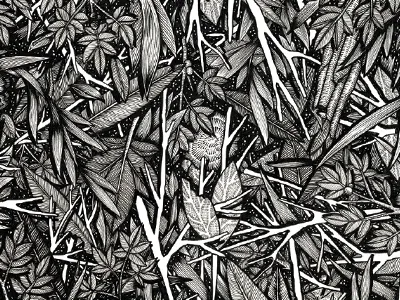 Flora flora flowers hand drawn illustration monochrome nature