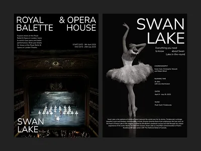 SWAN LAKE poster clean design graphic design illustration poster poster design