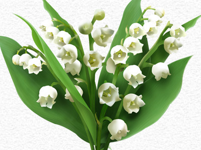 Flowerly Muguet Edition flower flowerly green lily of the valley muguet