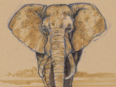 Elephant - MAX ride sketch 05/03/2012 africa african elephant desert dust elephant sand sky