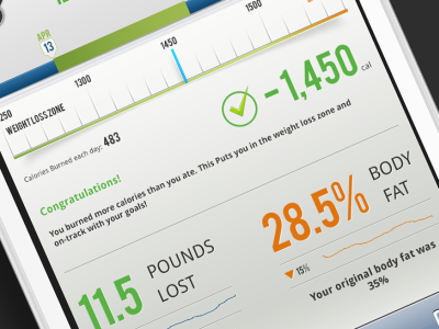 Progress application fitness log meter scale web