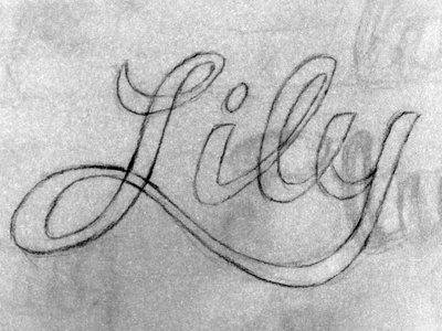 Lily hand lettering design hand lettering lettering sketch