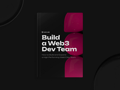 Ebook: Build a Web3 Dev Team 3d 3d assets design digital ebook guide typography ui ux for web3 uxui web3