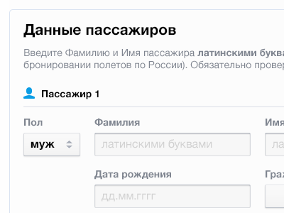 Passenger info dropdown flight geomicons input passenger