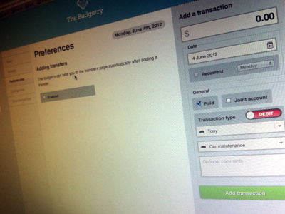 The Budgetry - On screen financial interface screenshot web application