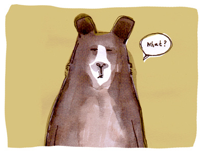 What Bear animal bear character illustration ink paint pen water colour