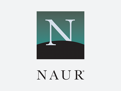 NAUR 90s cleo naur graphics logo naur netscape netscape navigator parody art retro