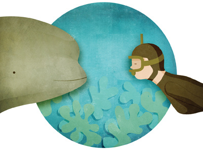 Enroute beluga diver editorial enroute illustration magazine