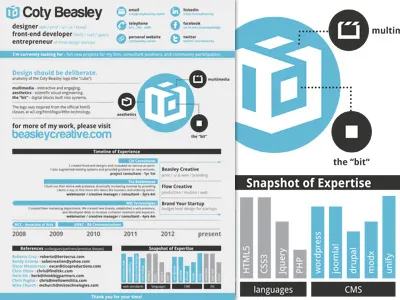 Personal Resume Update branding infographic resume