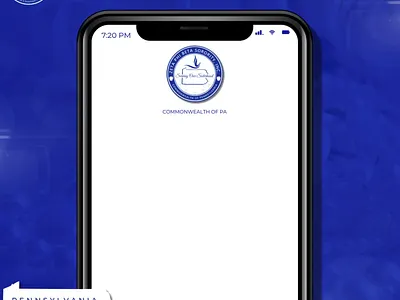 Video Animations branding graphic design motion graphics