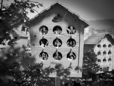 3D birdhouse 3d 3ds max animation motion design motion graphics rendering twitter