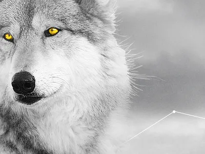 Silence castle clouds desktop desktopography grey wolf