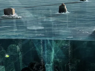 Nyfuturedrib city future global manipolation momsen momsn new york ny photo shark warming water