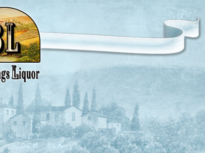 Liquor Shot banner bar grunge home page italy liquor navigation store tuscany web design website wine