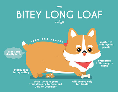 Long Loaf Corgi character cute dog illustration vector