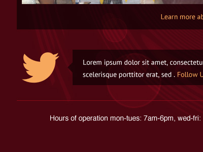 Twitter Widget social twitter