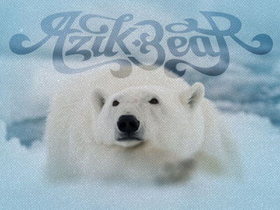 "Azikbear" bear cold ice lettering polar type typography